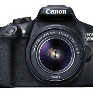 Nikon D3300 and Simple Coupon with Review